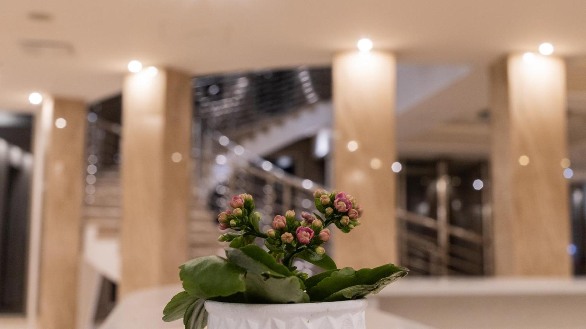 Hotel Donna Crescenza Locorotondo Ngoại thất bức ảnh